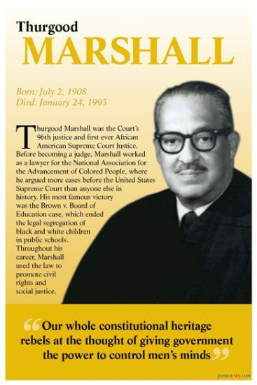 Our Whole Constitutional Heritage NEW Thurgood Marshall POSTER Black History 