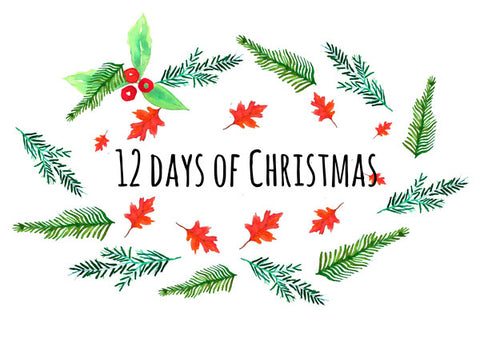 12 Days Of Christmas Flax Fox