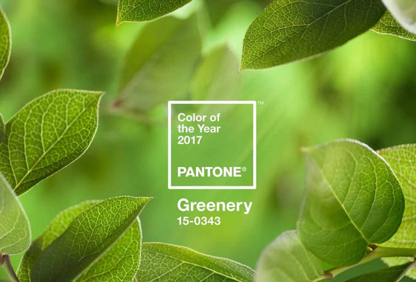 Pantone Colour of the Year 2017 Greenery