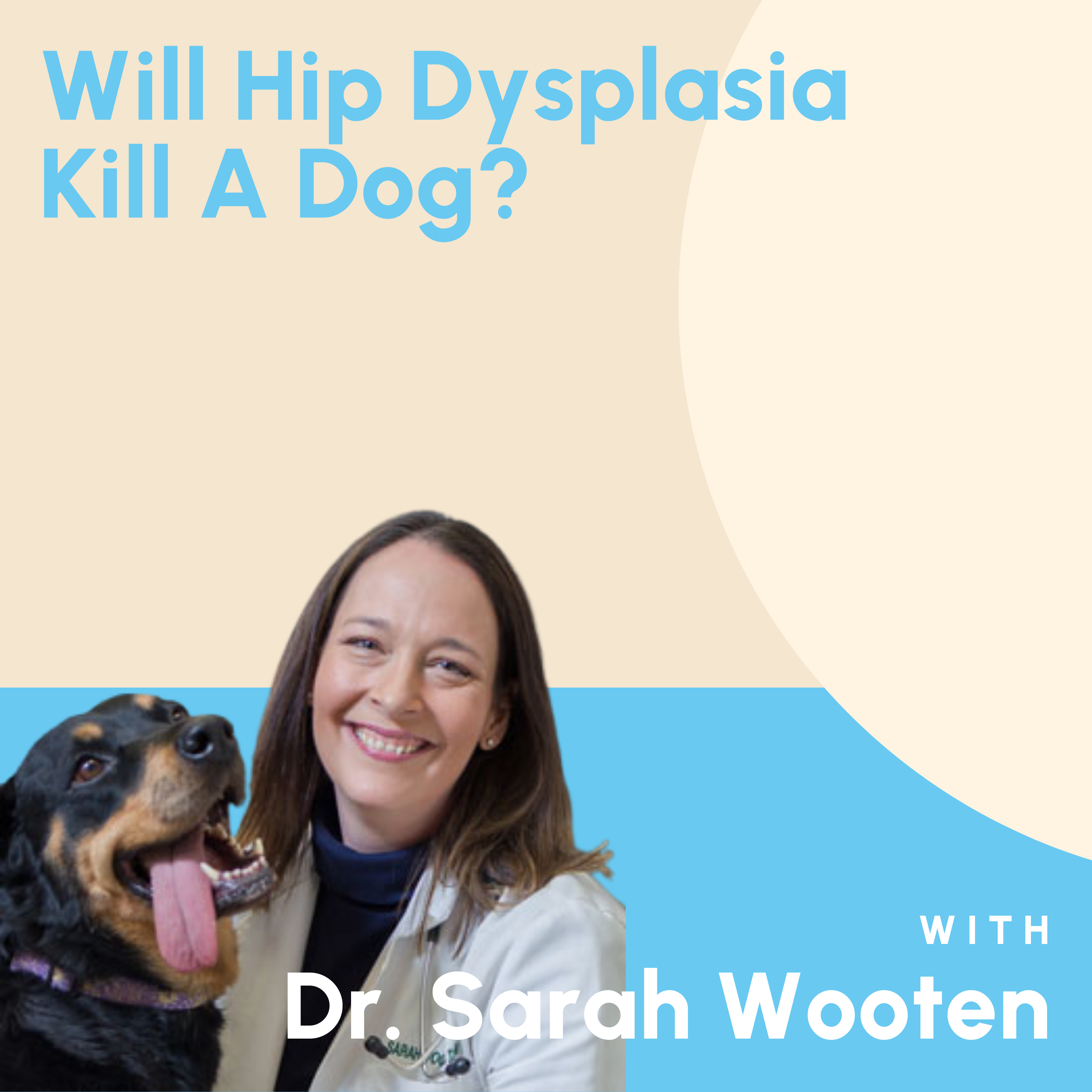 will hip dysplasia kill a dog