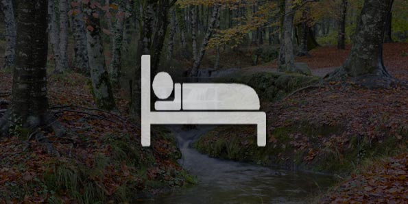 North_sleep