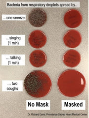 Bacteria from respiratory droplets