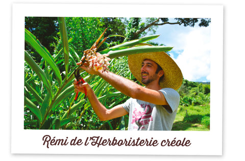 Remi de l'Herboristerie créole