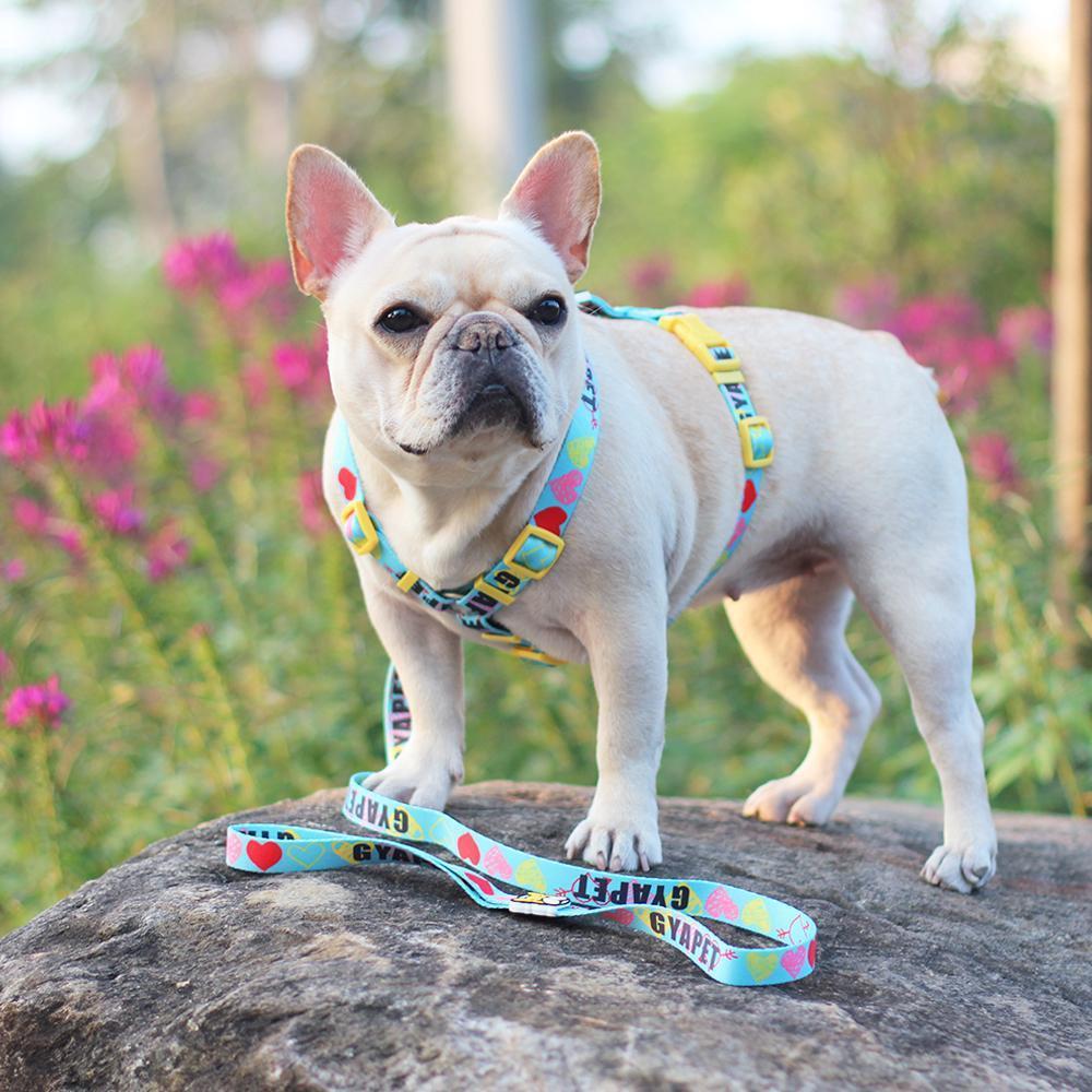 french bulldog leash