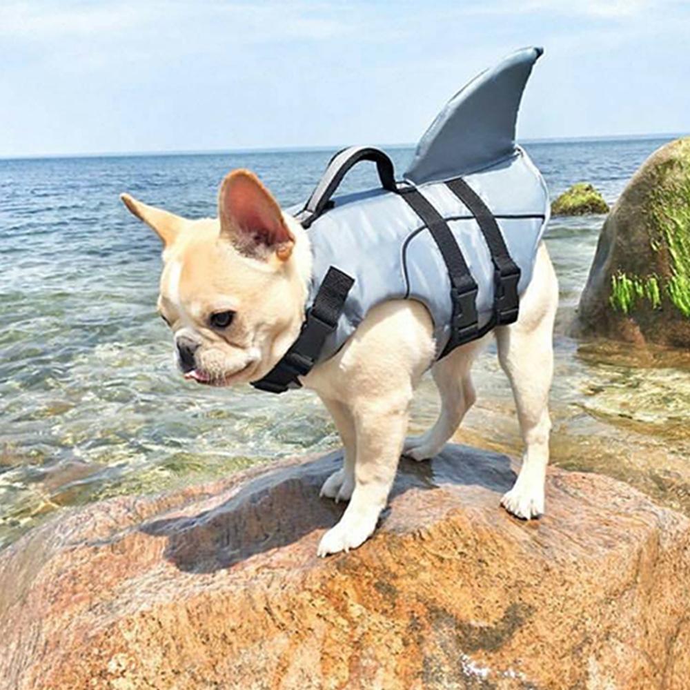 french bulldog shark life jacket