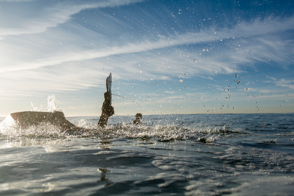 ecto-handplanes-david-cragg-team-bodysurfer-bodysurfing-australia-south-coast-surf