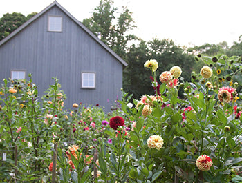 Frances Palmer Pottery Studio