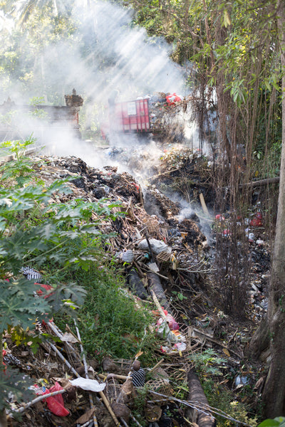 Bali trash disposal challenge