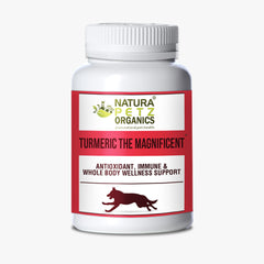 Turmeric the Magnificent Natura Petz Organics dog turmeric dog curcuma cat turmeric cat curcuma