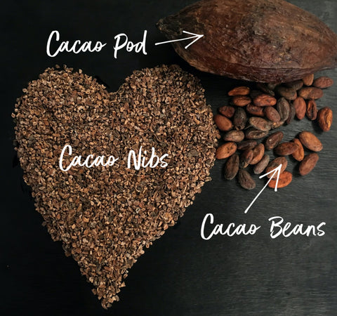 Cacao pod, nibs and beans