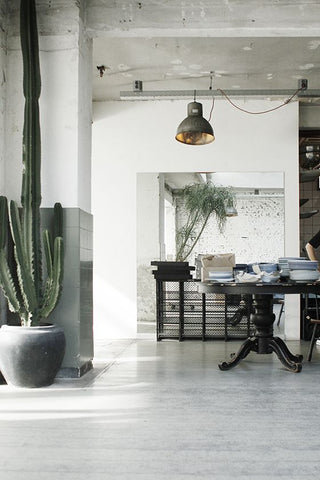 Industrial decor with cactus