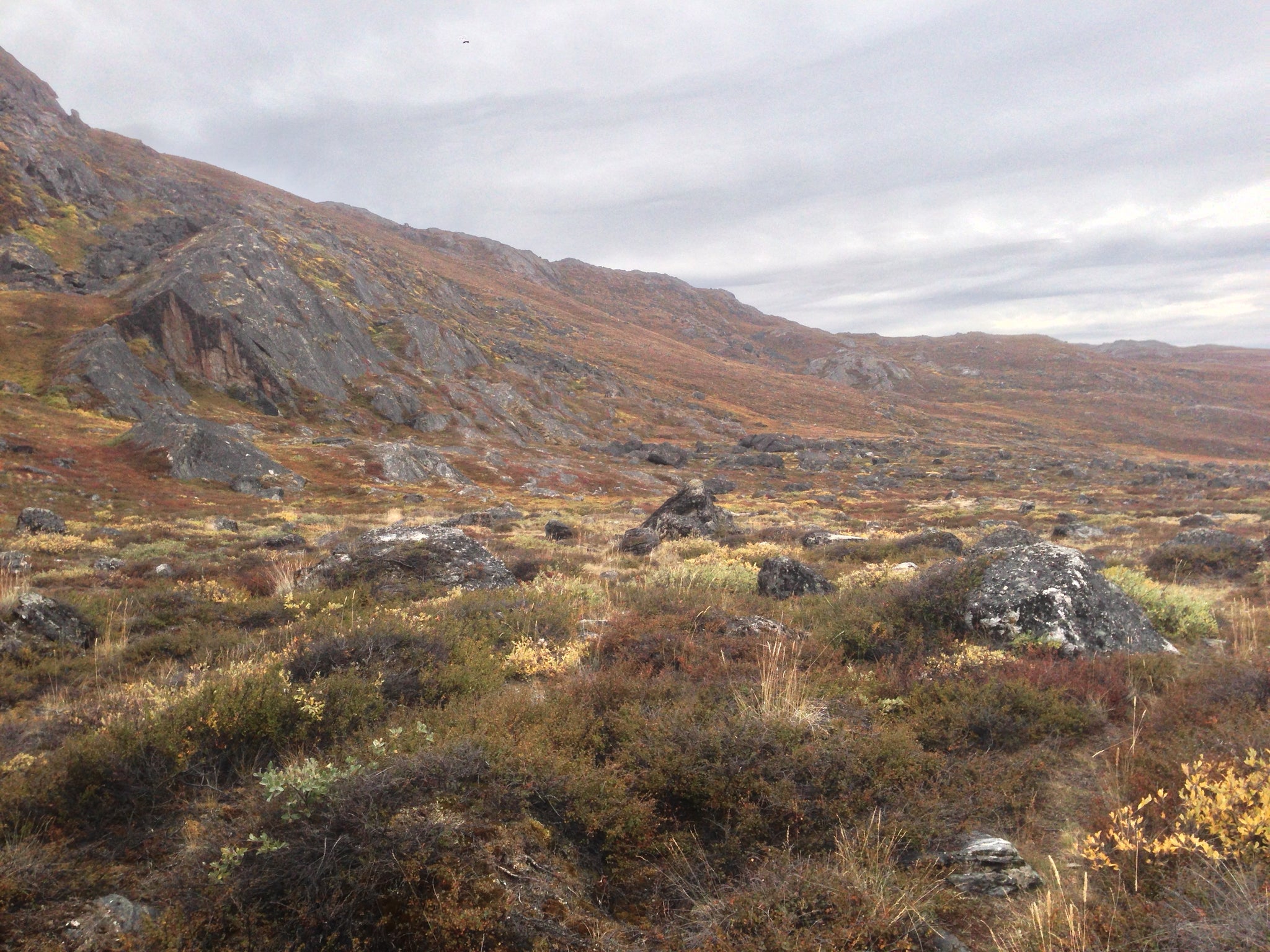 Arctic Circle Trail, Greenland