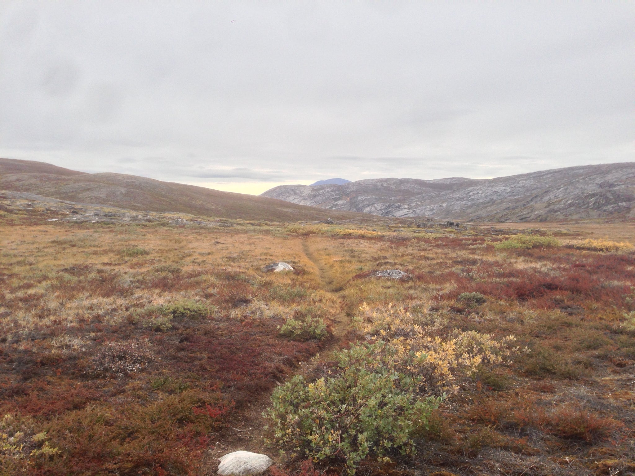 Arctic Circle Trail, Greenland