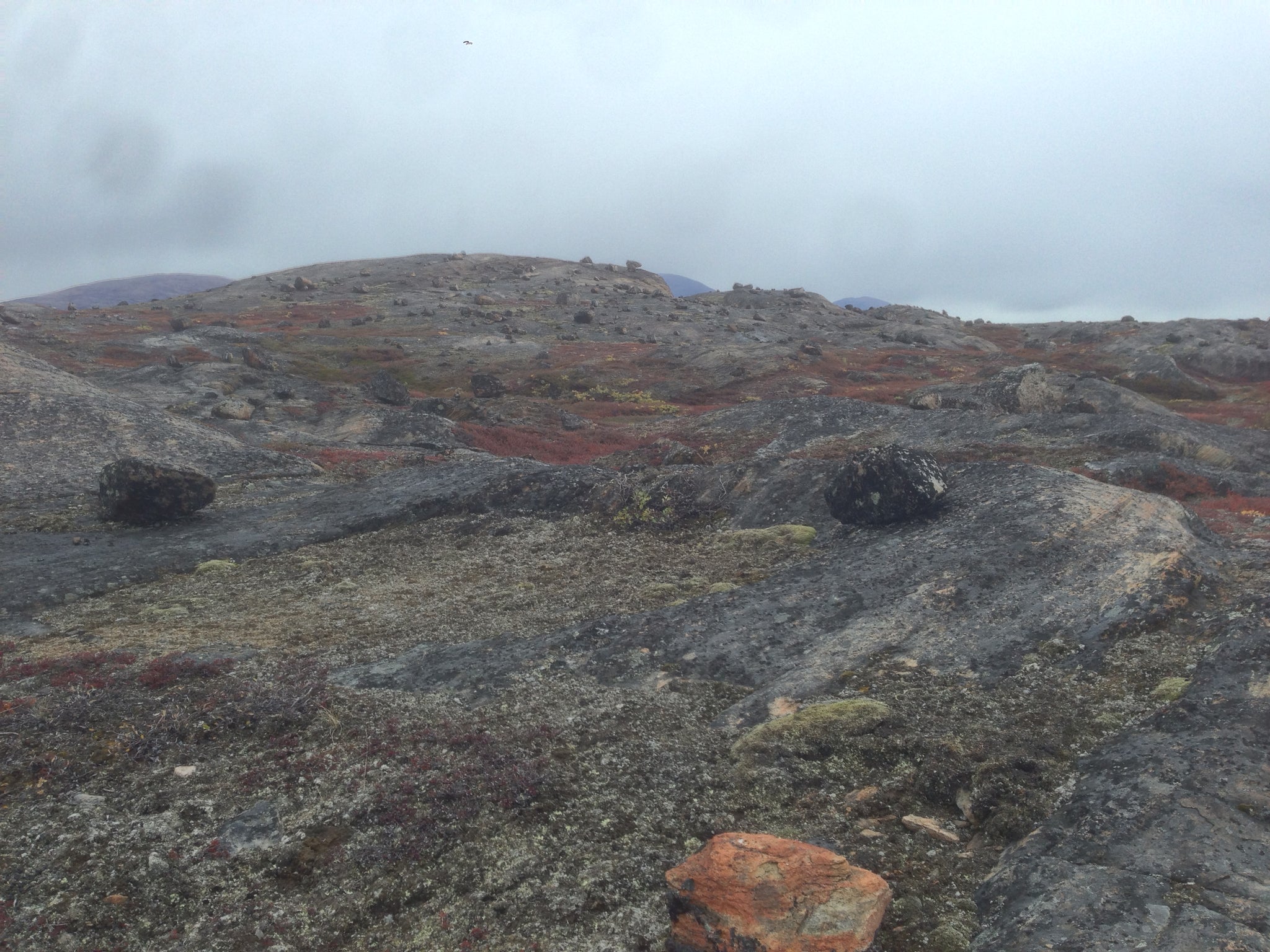 Glacial Erratics, Greenland (Arctic Circle Trail)