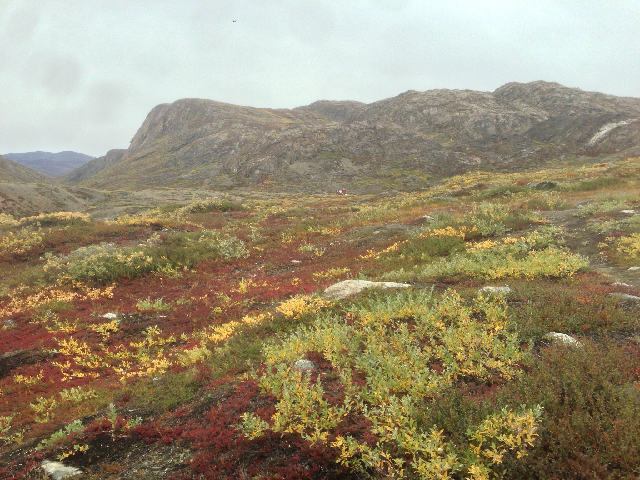 Approaching Eqalugaarniarfik Hut (At center, up against the mountain), Greenland (Arctic Circle Trail)
