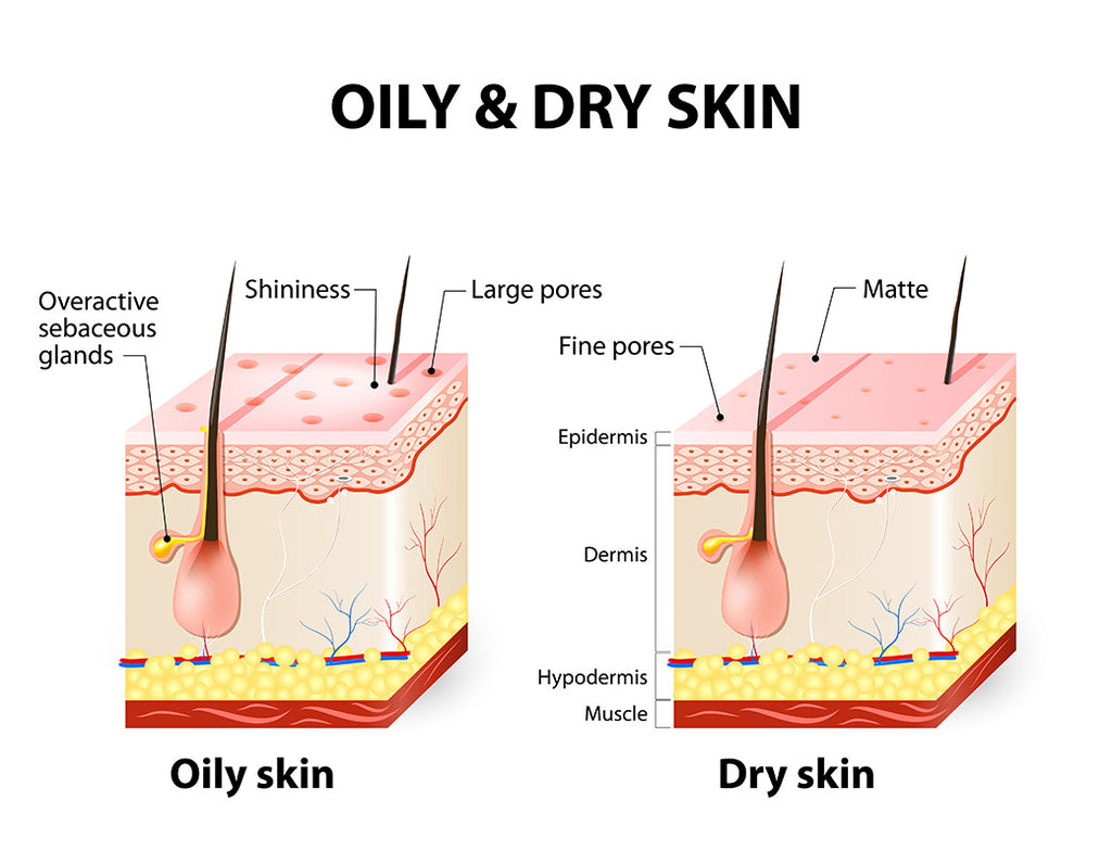 living nature oily skin vs dry skin