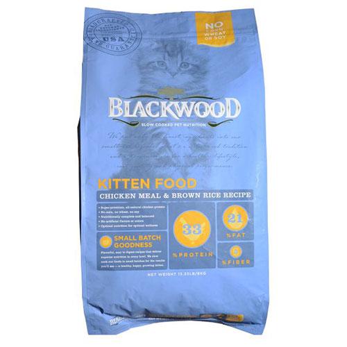 blackwood kitten