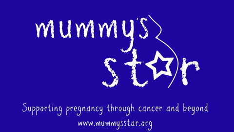 Mummy's Star Charity Logo
