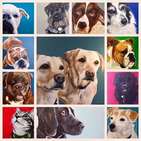 Dog Portraits 