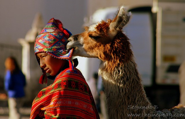 AN ANIMAL THAT CAN MAKE US FEEL CHARMED AND HAPPY