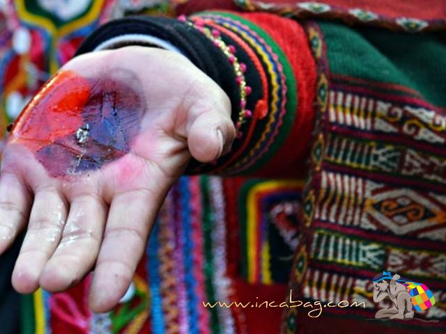 NATURAL FABRICS AN DYES- INSECTS