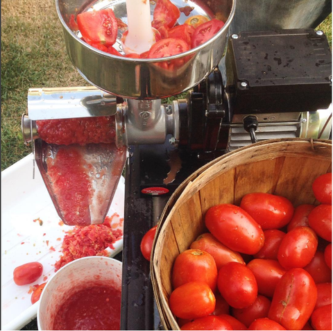 3 Electric Tomato Strainer Machine Tomato Mill Machine - Raw Rutes
