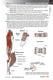 Muscle Manual