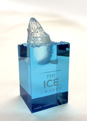 custom made ice awards Creative Awards