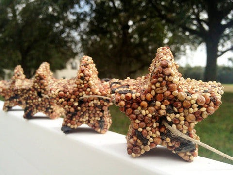 bird seed star favors, set of 12 bird seed stars