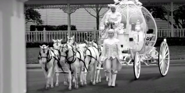 Disney Cinderella Wedding Coach with Horses