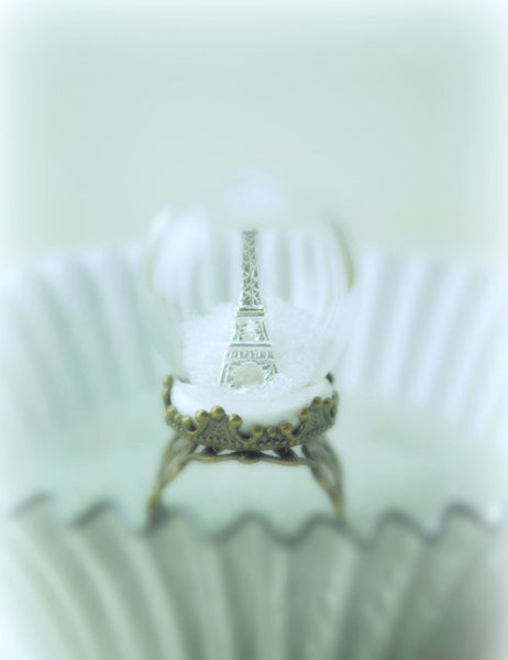 Paris Inspired Winter Wedding Snow Globe Ring