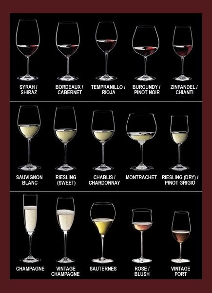 Find the Proper Wine Glass for the Proper Wine