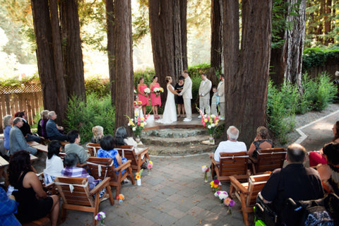 Roaring Camp Railroad Wedding