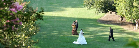 Weddings at the Los Angeles County Arboretum & Botanic Garden
