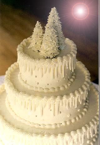 Winter Wedding Cake Idea White