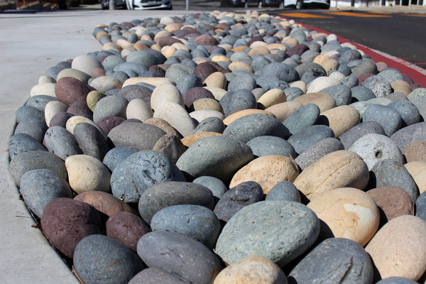 Mixed Mexican Beach Pebbles
