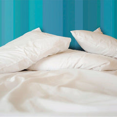 Allersoft Nonmembrane Duvet Cover