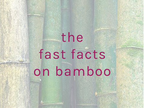 facts on bamboo fabric