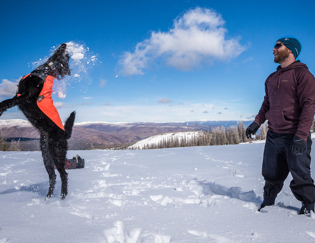 Voormi men's eleven.9 hoodie in snow