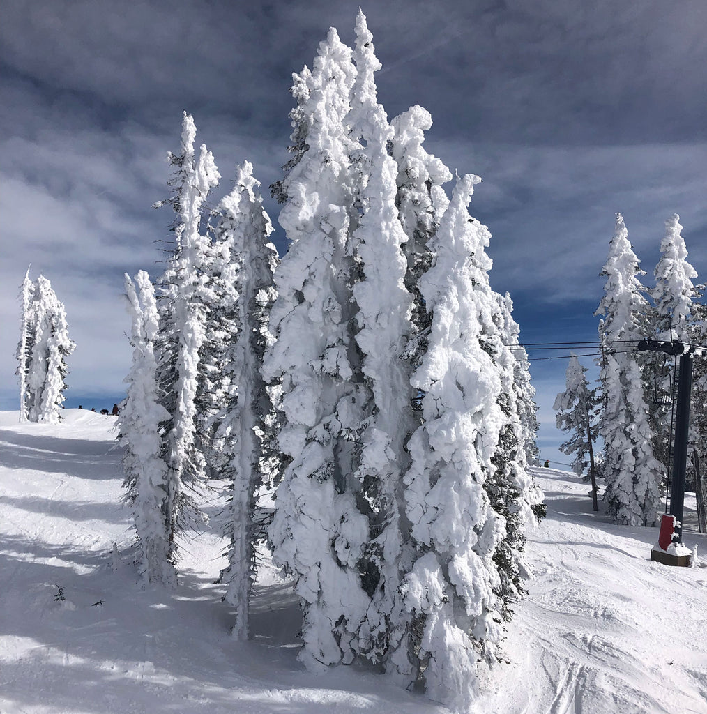 The snow is famous snow at Steamboat Ski Resort