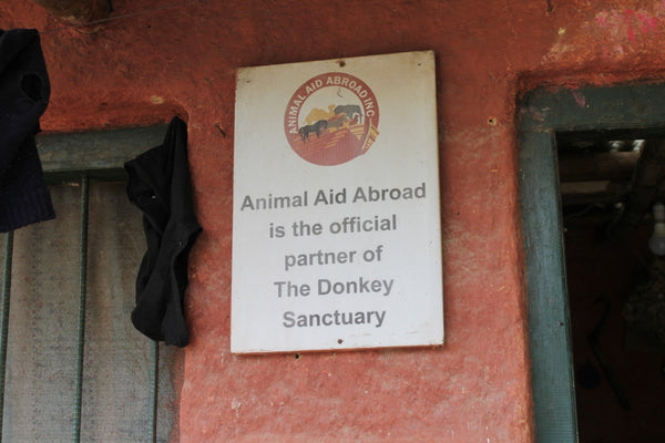 The Donkey Sanctuary Nepal