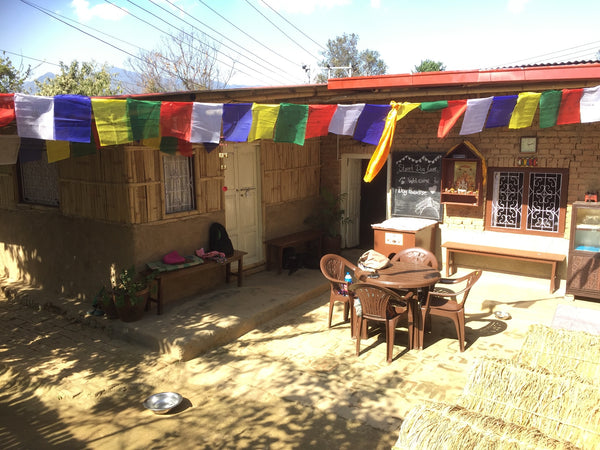 Street Dog Kathmandu Shelter at Boudha Stupa, Nepal