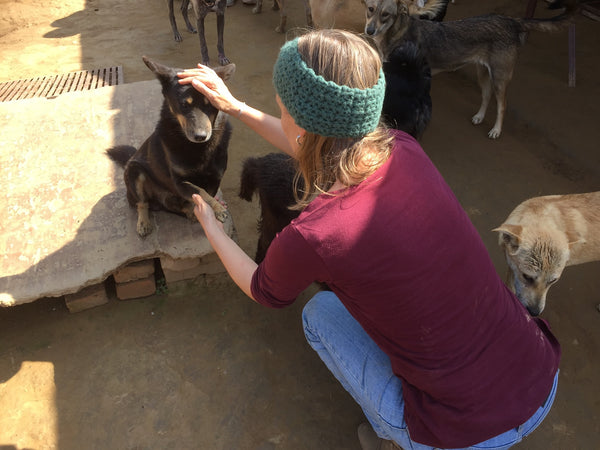 Street Dog Care Kathmandu