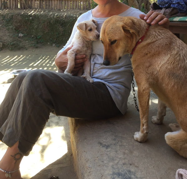 Surya at Street Dog Care Kathmandu