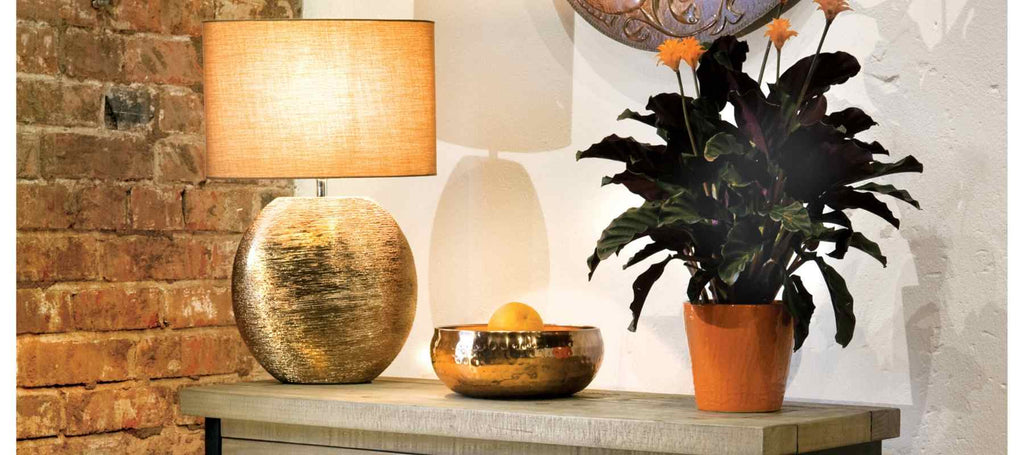 Table lamp with light on and green plant on console table