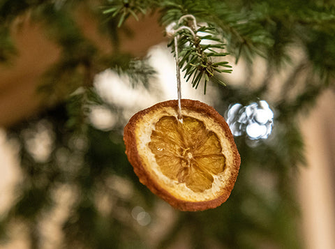 A dried slice of orange hanging by a thread from a green tree branch