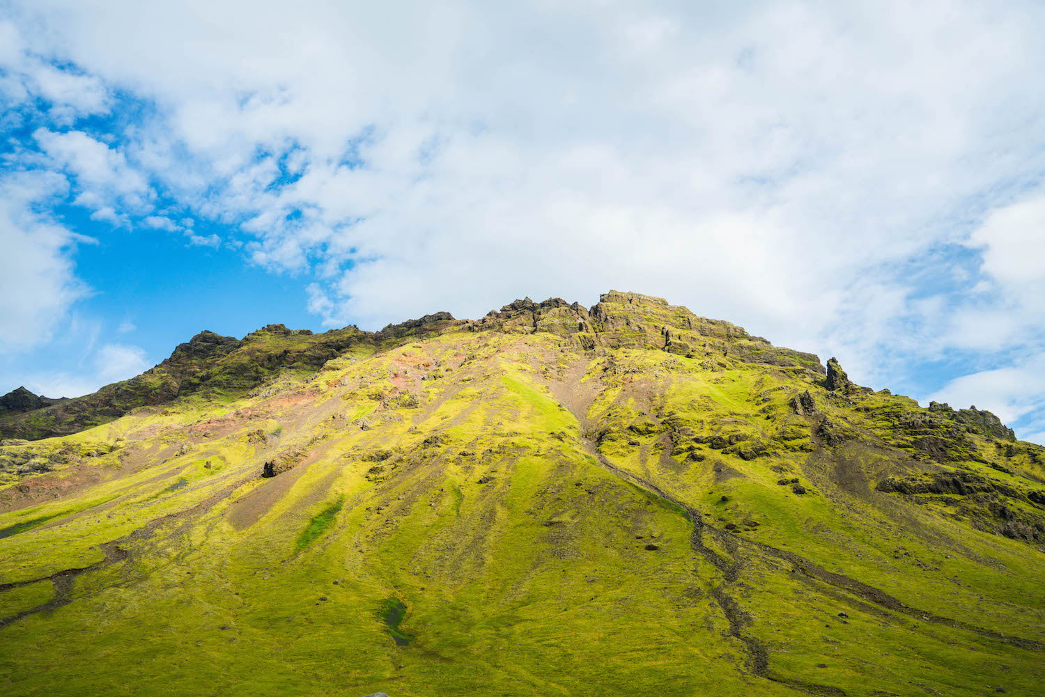 Iceland LOTUSWEI flower essences