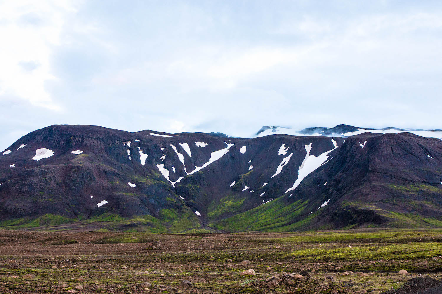 Icelandic Moss LOTUSWEI flower essences