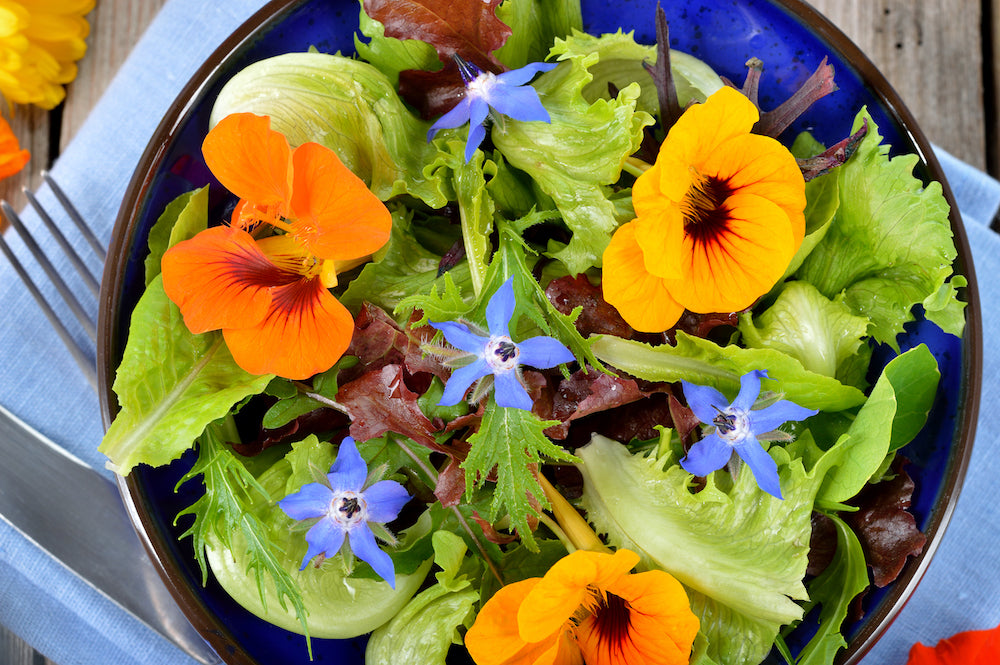 Nasturtium salad LOTUSWEI flower essences