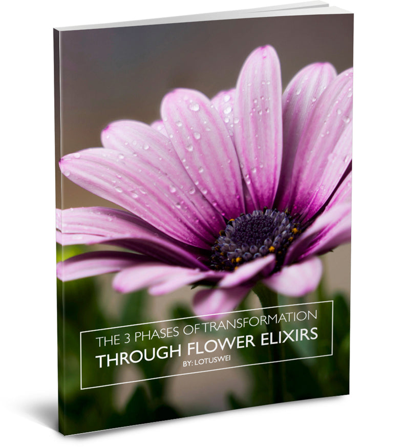 three phases of transformation e-book LOTUSWEI flower essences